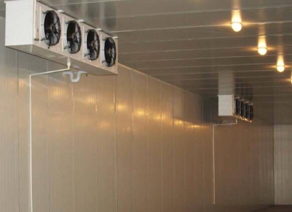 ���(k��)�Ď�(k��)��׃���{(di��o)��(ji��)��θ�������